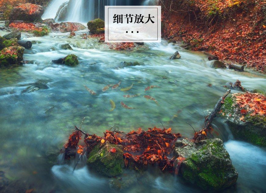 尘埃4