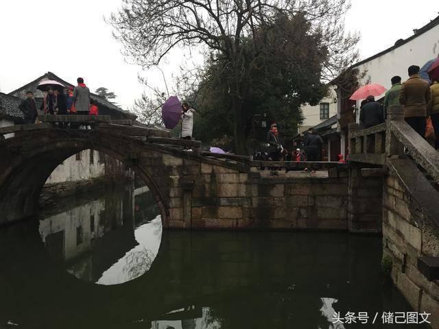 植物大战僵尸5